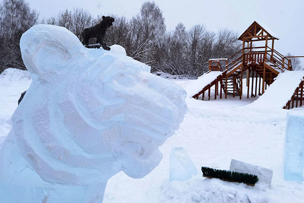 2022年的生肖——老虎，成为了冰雕节的第一个作品