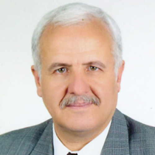 Mohammad Abdullah  Ghannoum