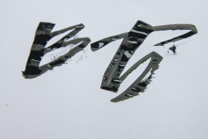 Pointed Pen calligraphy course  Pointed Pen calligraphy course