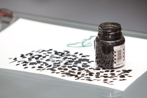 Artyom Lebedev's workshop class Artyom Lebedev's workshop class