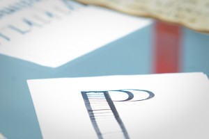 The Open Day at the Children's School of Calligraphy The Open Day at the Children's School of Calligraphy