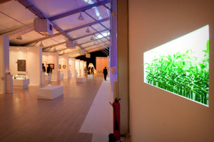 第二届国际书法展,莫斯科 第二届国际书法展,莫斯科