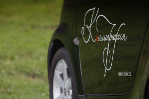 III International Exhibition of Calligraphy, Veliky Novgorod III International Exhibition of Calligraphy, Veliky Novgorod