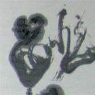Shoen Iwao's work   - Japanese calligraphy