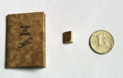 Miniature book: past, present and future.