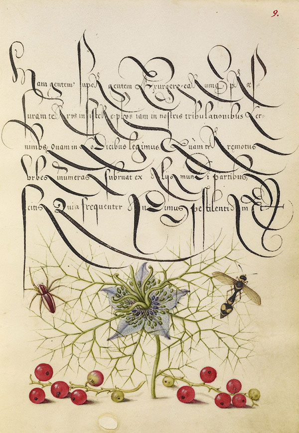 Пособие каллиграфии 16-го века 