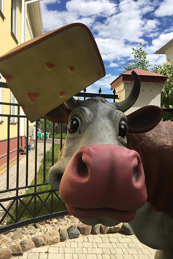 探访科斯特罗马的美味奶酪博物馆