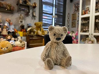 “The Teddy Bear Room” Private Museum