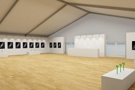 Layout of the main pavilion of the III International Exhibition of Calligraphy is approved